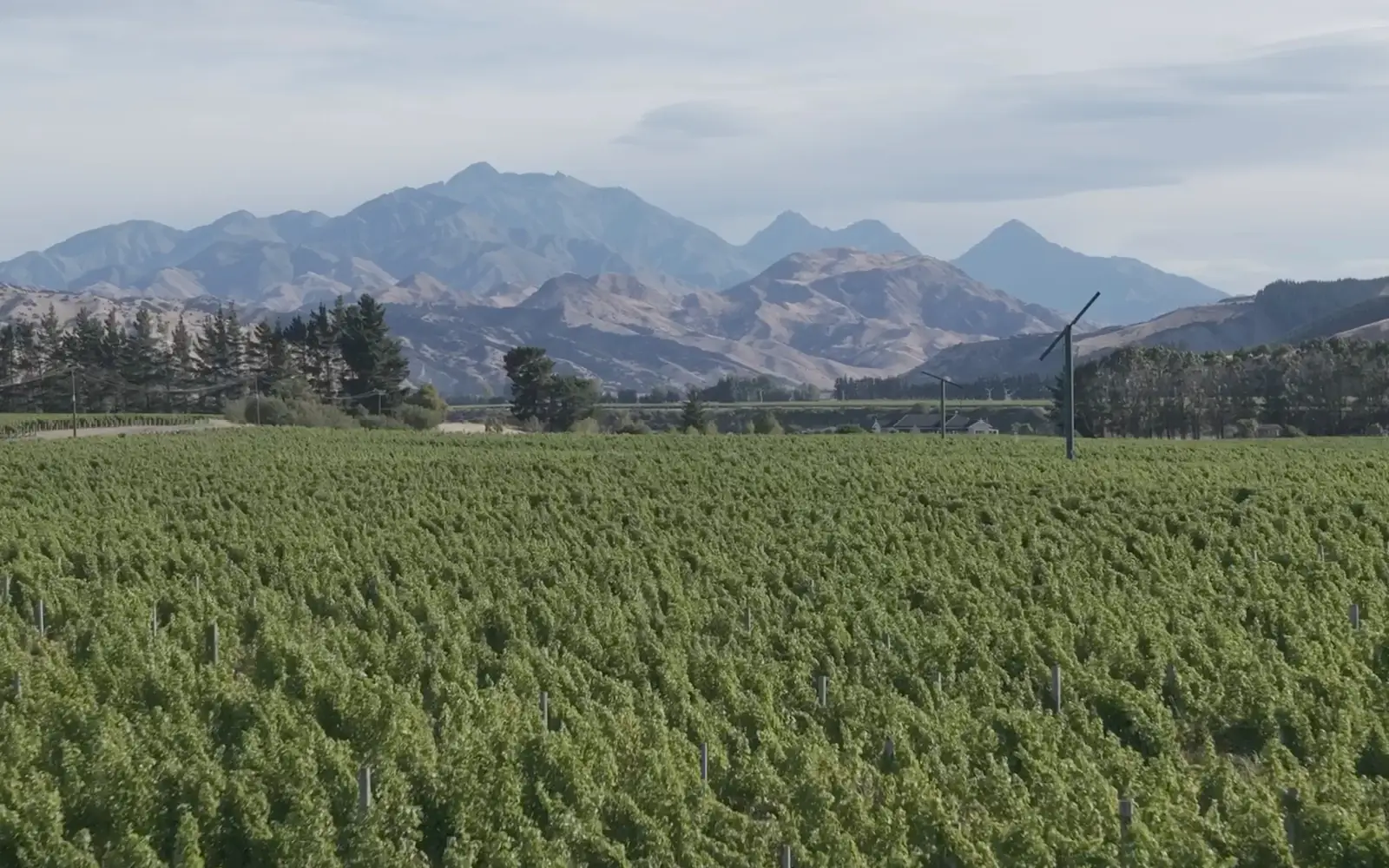 Image of winery. 