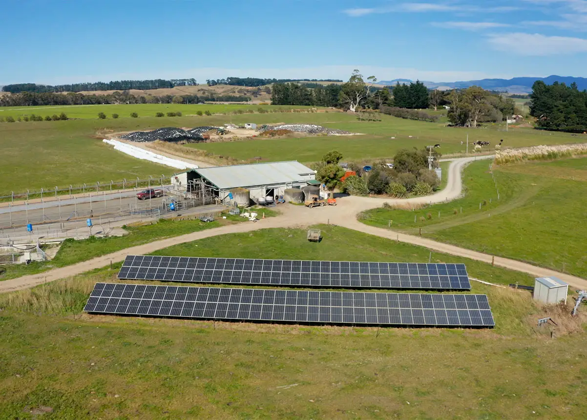 Image shows the ground-mounted solar panels on the Kaiwaiwai farm.. 